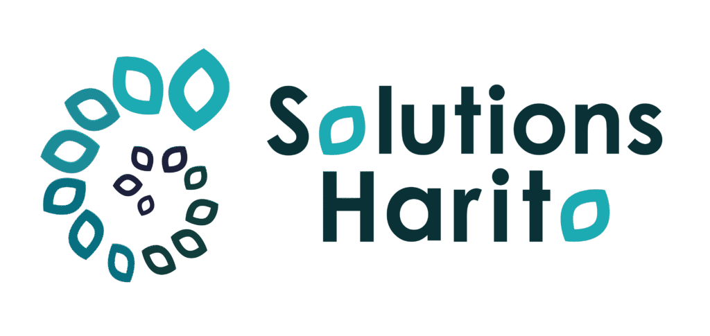 Solutions Harito Marketing Communication logo couleurs principal bleu